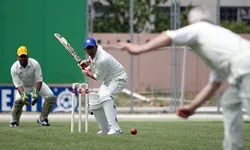 T20 cricket betting on betBonanza